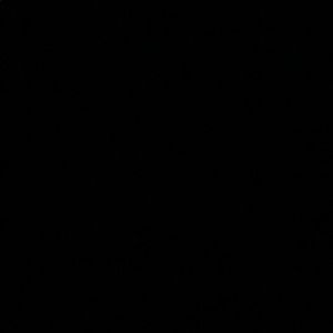 Meet your Posher, Nora